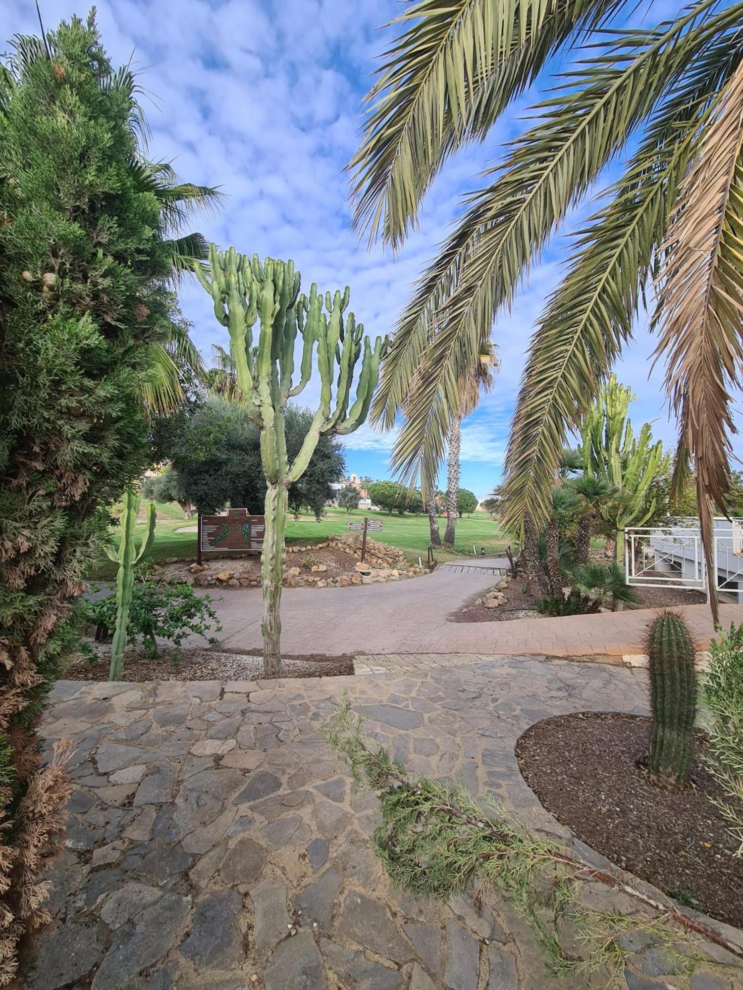 Aura Mar Apartamento